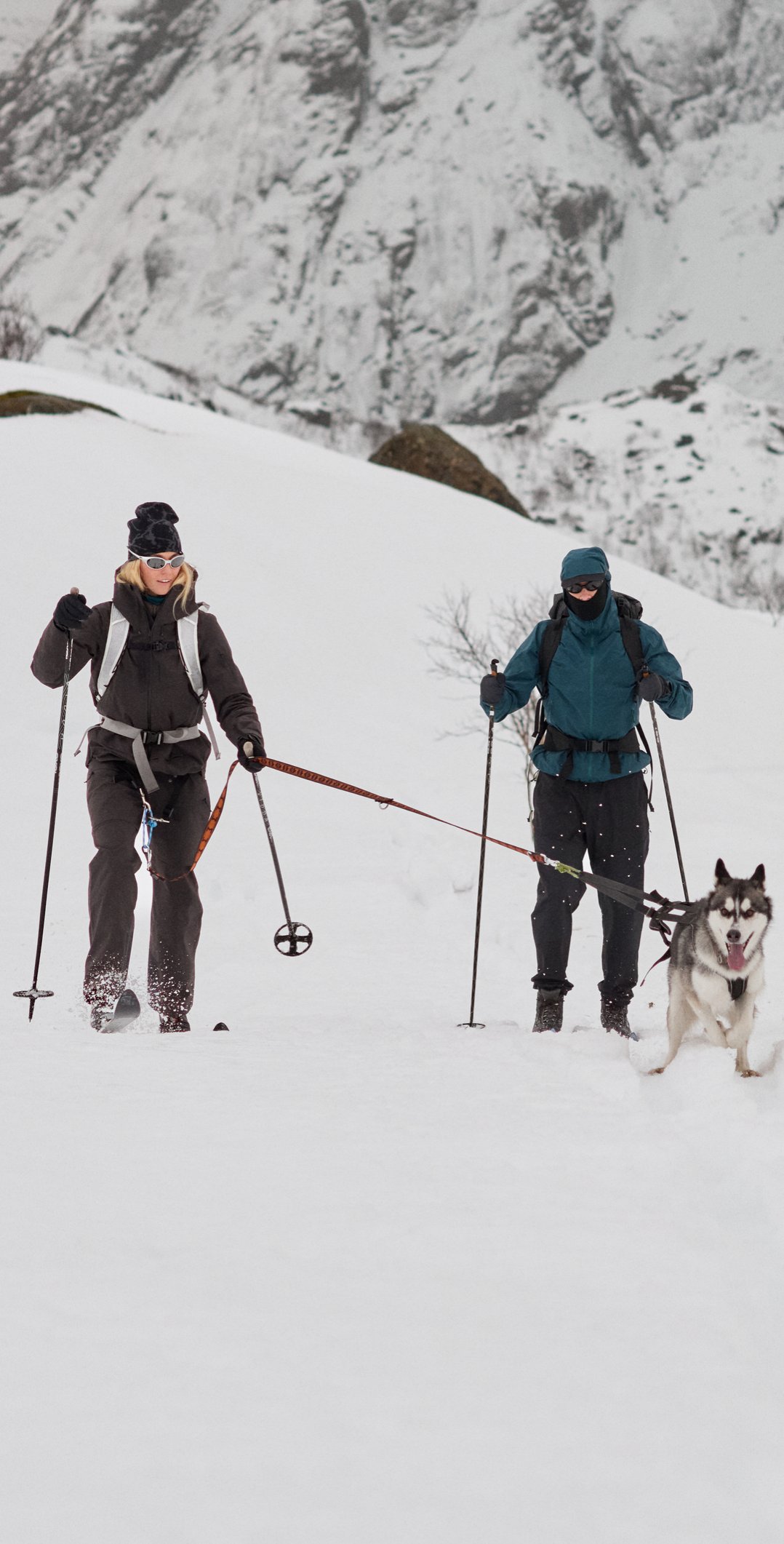 Twee skiërs in donkere winterkleding klimmen een besneeuwde berg op, getrokken door een grijs-witte husky in een tuig.