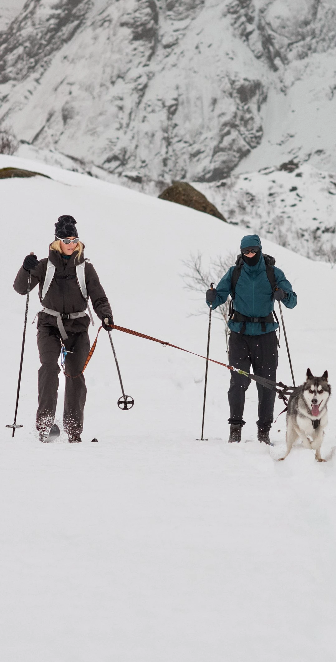 Twee skiërs in donkere winterkleding klimmen een besneeuwde berg op, getrokken door een grijs-witte husky in een tuig.