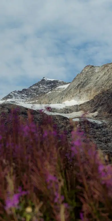 SS26 Tout grid hero for sustainability