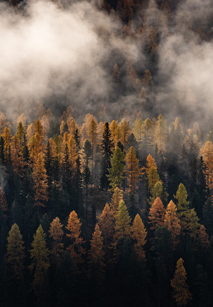 FW25 teaser image amor collection 