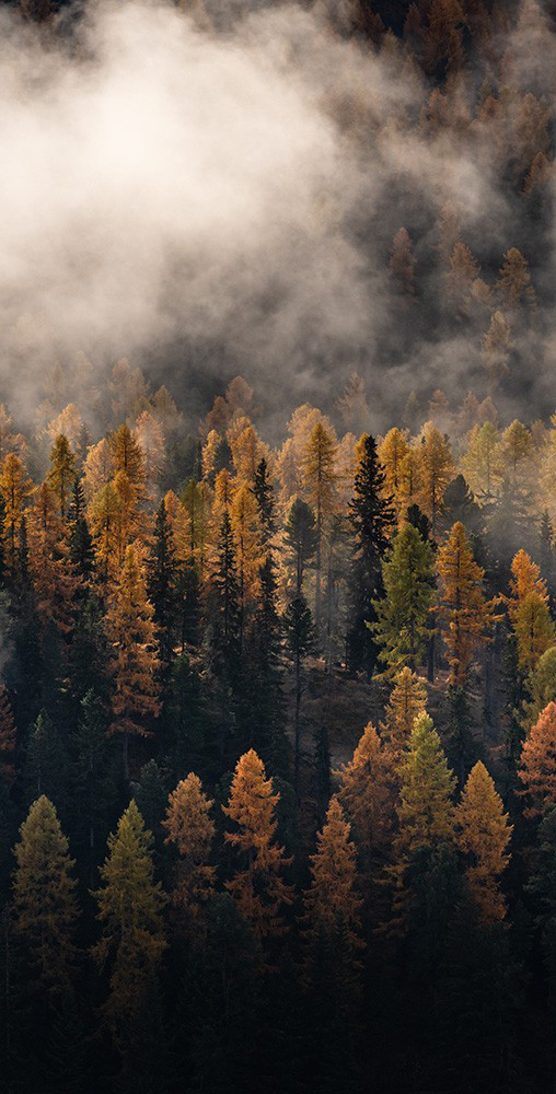 FW25 a.m.OR blog collaboration Odlo x Engadin X Filip