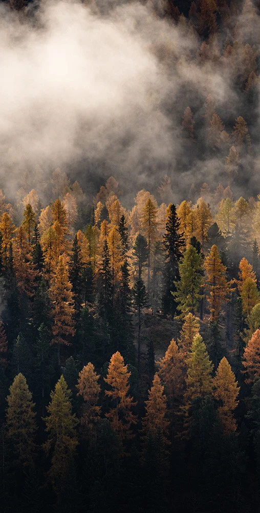 FW25 a.m.OR blog collaboration Odlo x Engadin X Filip