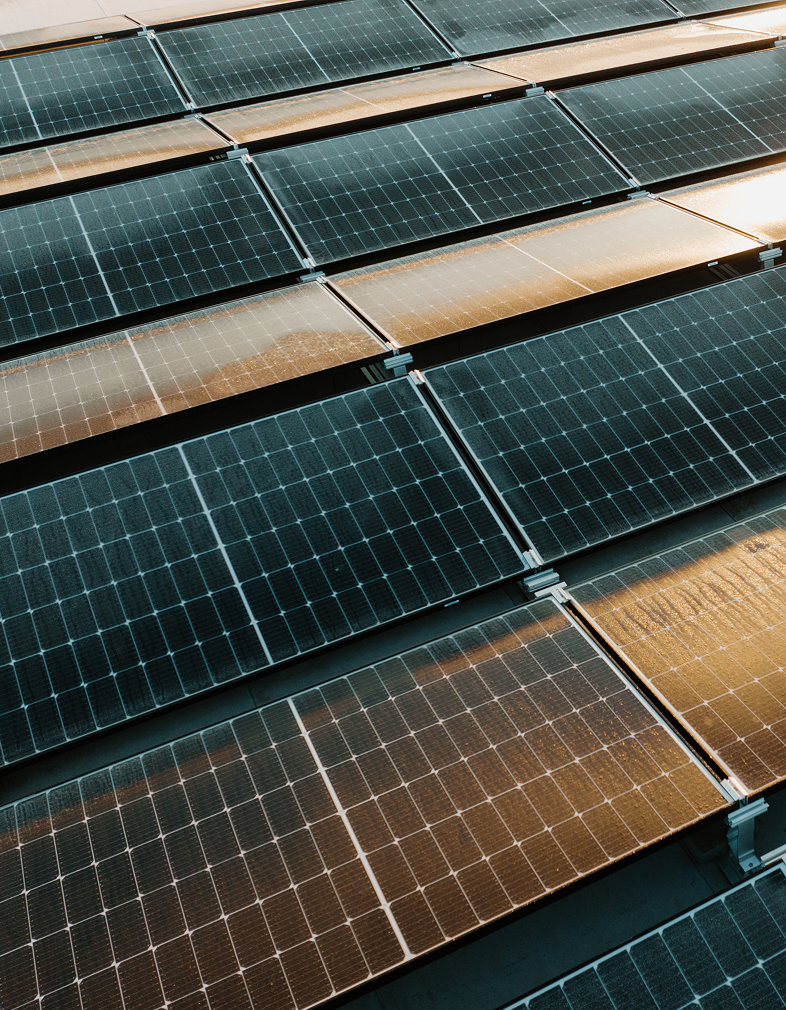 Close-up van een raster van donkerblauwe zonnepanelen die warm, goudkleurig zonlicht weerkaatsen over hun getextureerde oppervlakken.