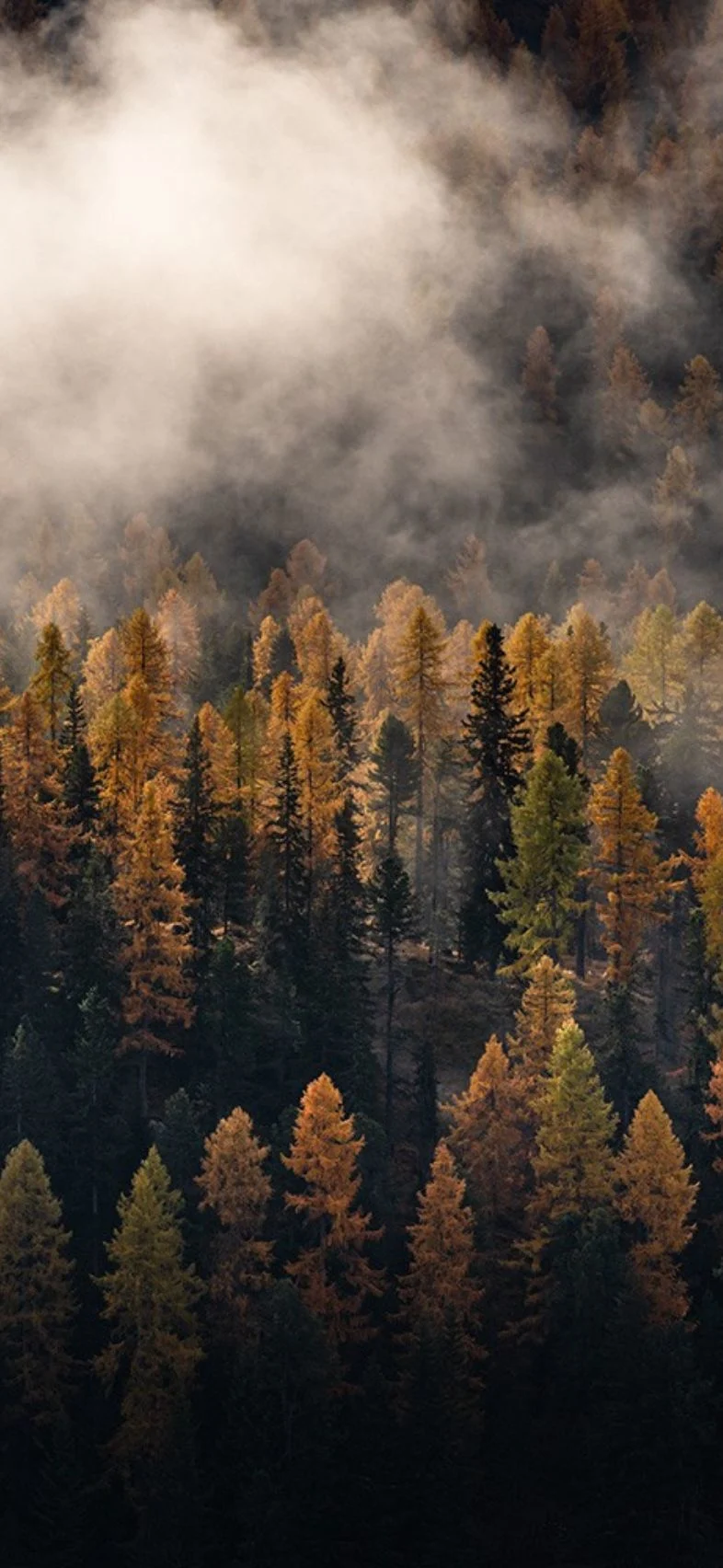 The Odlo x Engadin Tourismus unisex merino blend t-shirt image