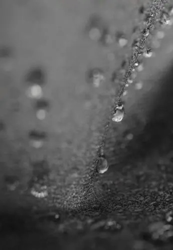 moisture management on fabric