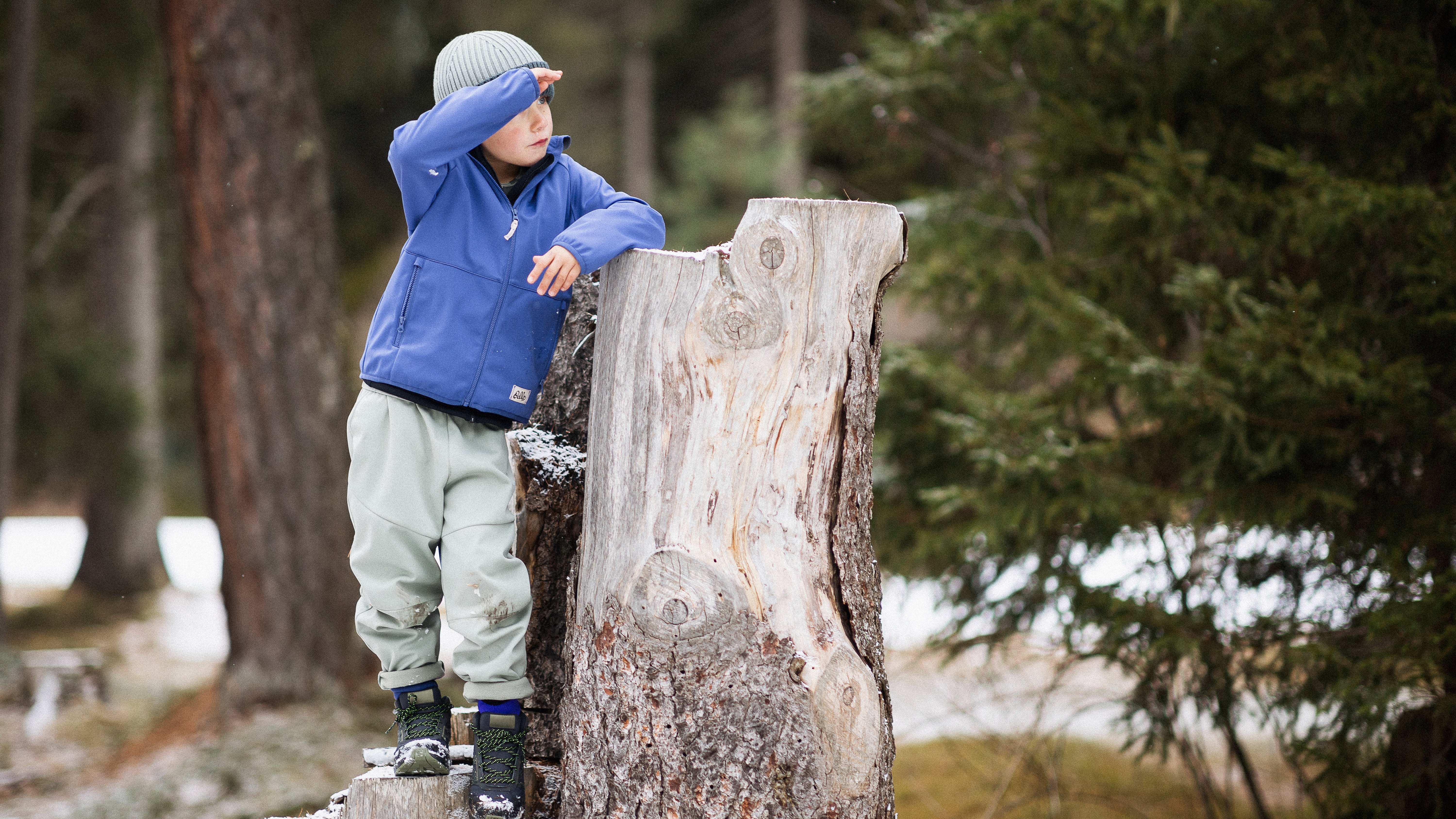 Adventurer Collection 529009 - D