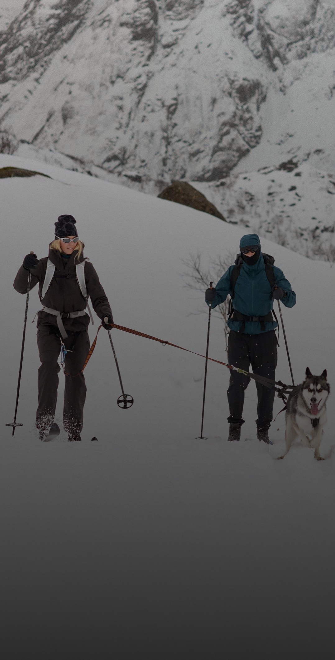 Twee skiërs in donkere winterkleding klimmen een besneeuwde berg op, getrokken door een grijs-witte husky in een tuig.