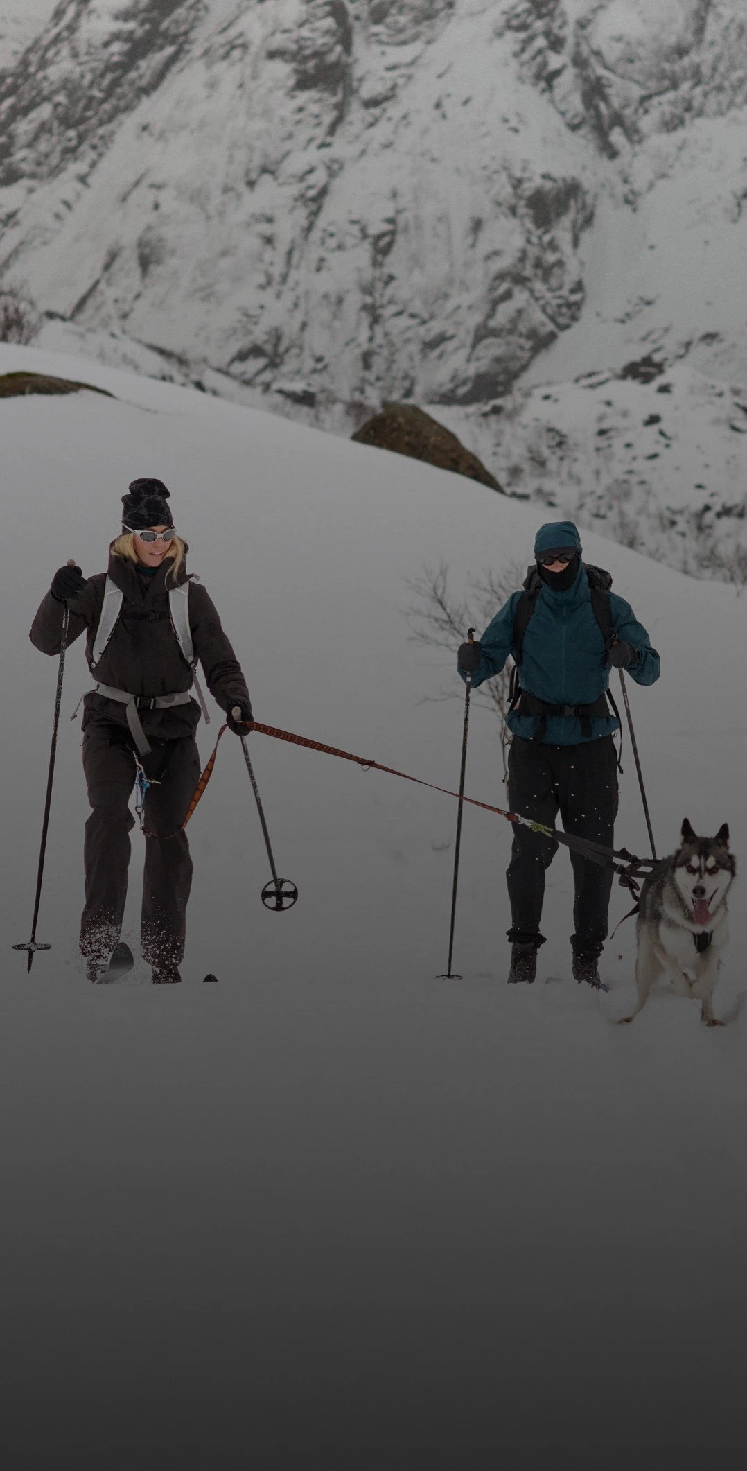 Twee skiërs in donkere winterkleding klimmen een besneeuwde berg op, getrokken door een grijs-witte husky in een tuig.