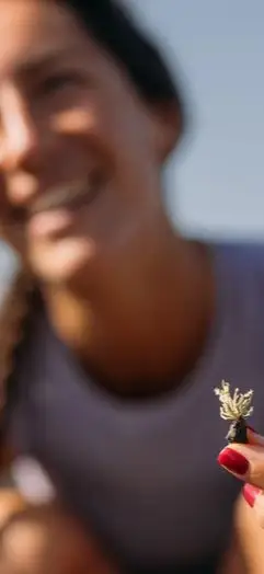 Half witdh tout grid image for our sustainability journey Quote