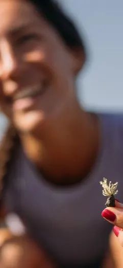 Half witdh tout grid image for our sustainability journey Quote