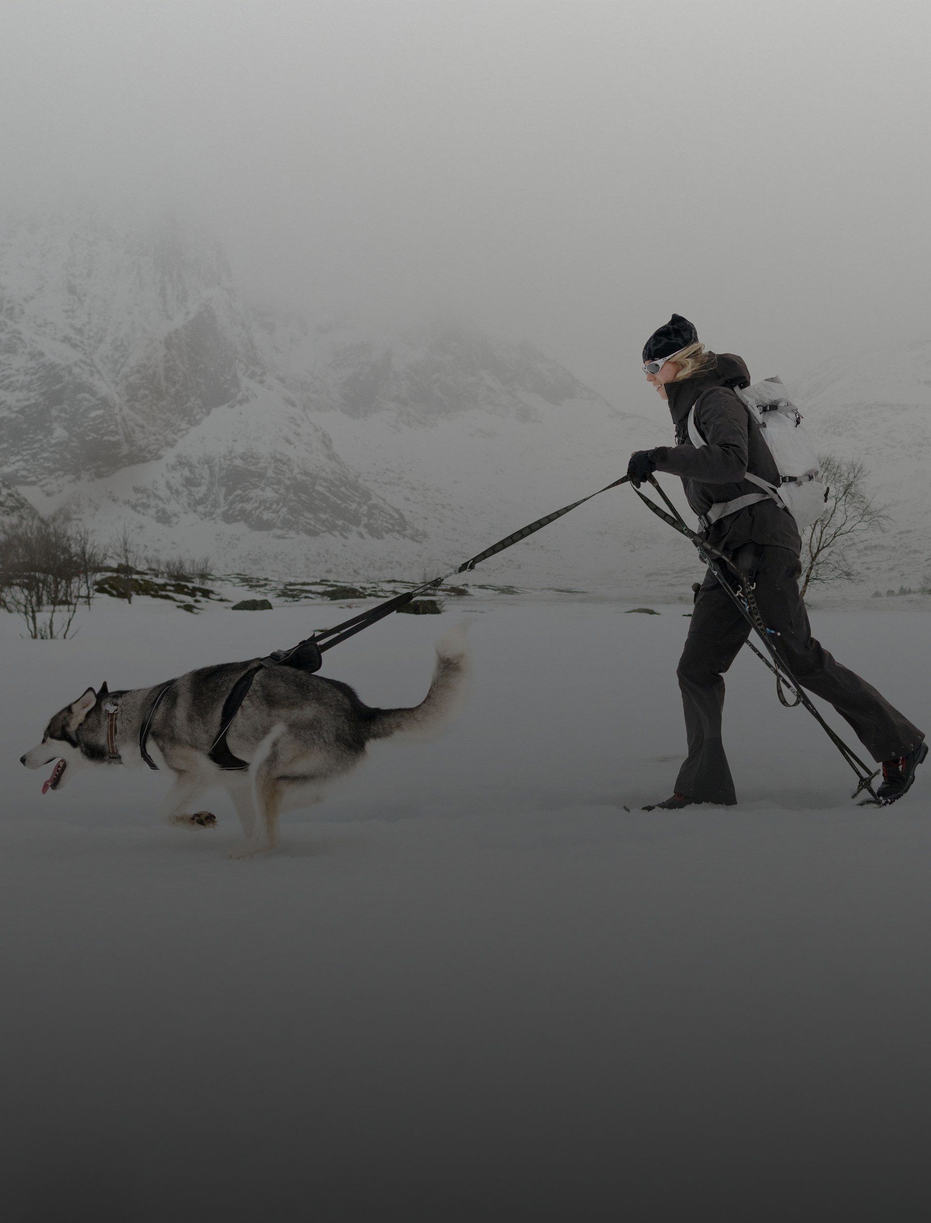 A woman in dark clothing cross-country skis through a snowy mountain landscape, pulled by a grey and white husky.