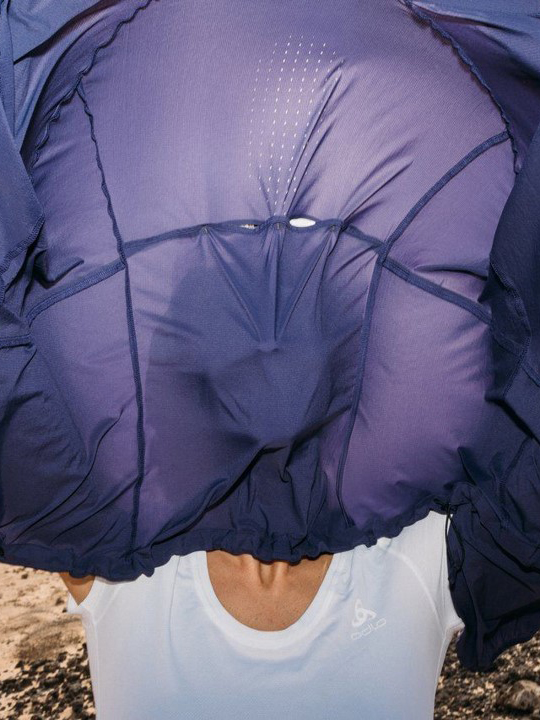 Our sustainability journey 2025 tout grid 4 Launched Care Guides for Our Products