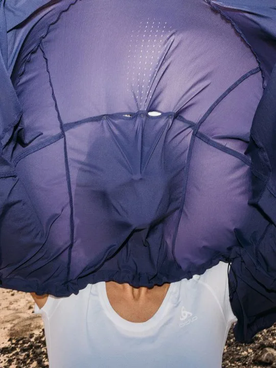 Our sustainability journey 2025 tout grid 4 Launched Care Guides for Our Products