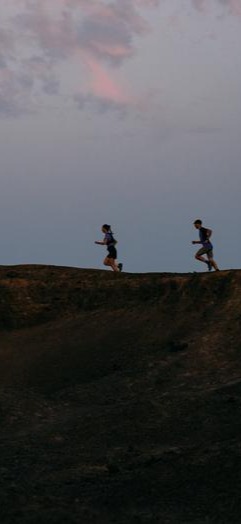 Tout gride image for Our sustainability journey We can do more