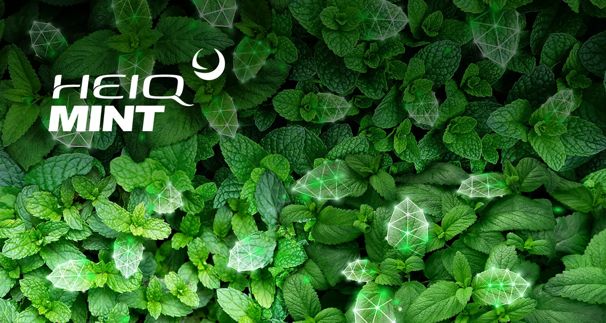 Image HeiQ Mint™ imbedded in Blog