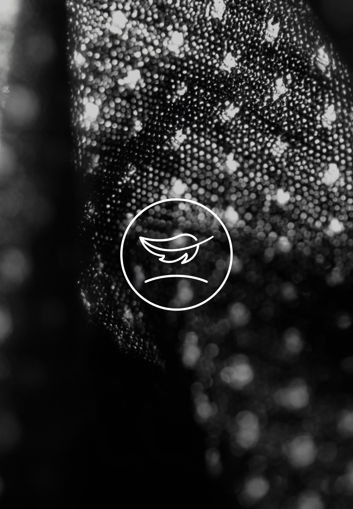 Lightweight performance