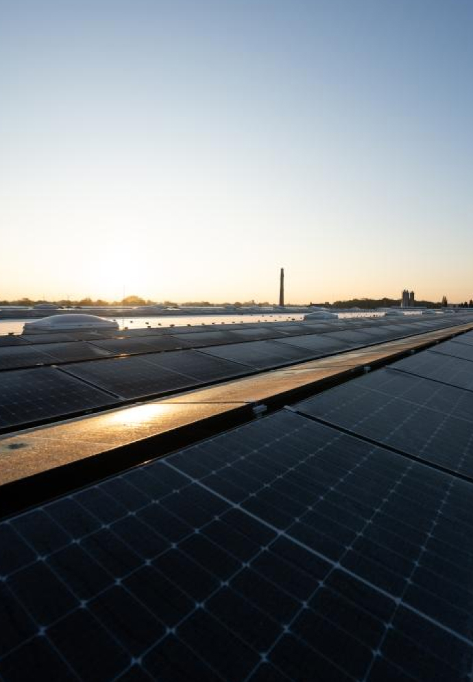 Rijen donkere zonnepanelen op een plat dak die het gouden zonlicht bij zonsopgang weerkaatsen, met een schoorsteen in de verte aan de horizon.