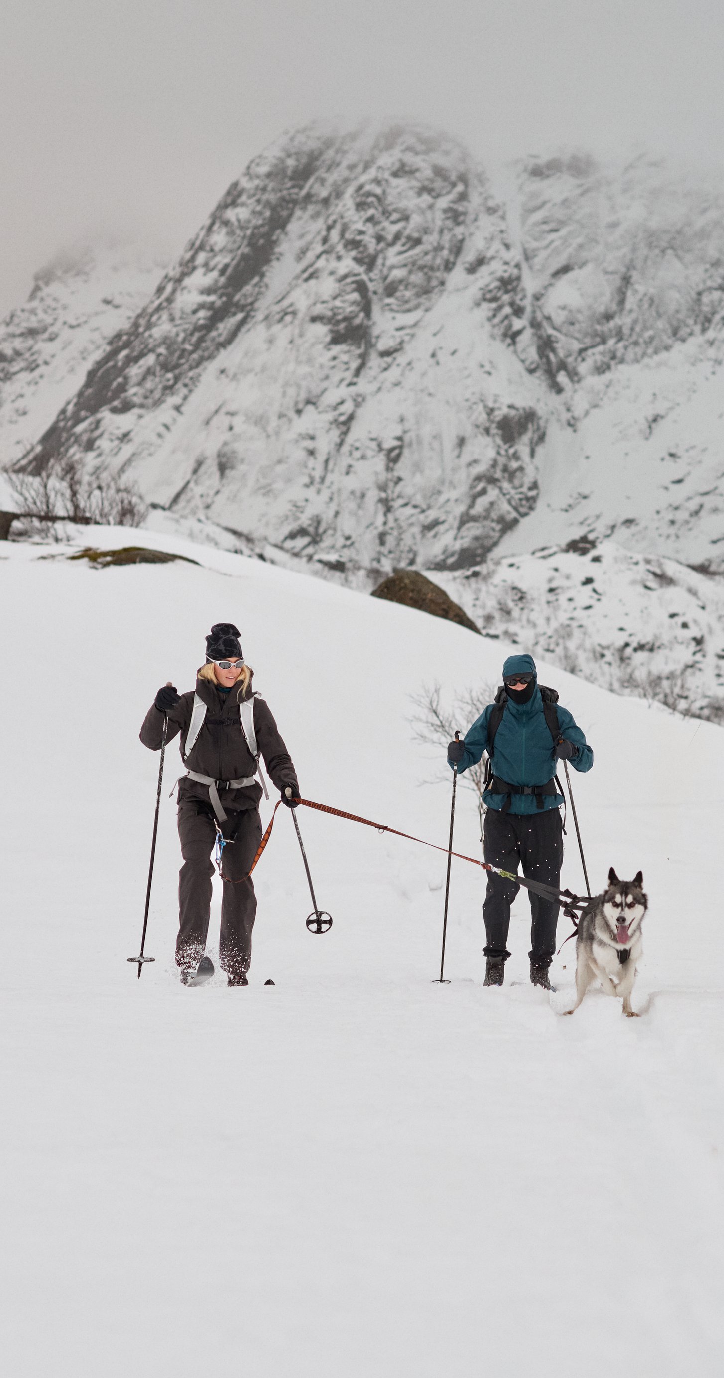 Deux personnes skiant dans un paysage de montagne enneigé, avec un chien husky tirant le skieur de gauche.