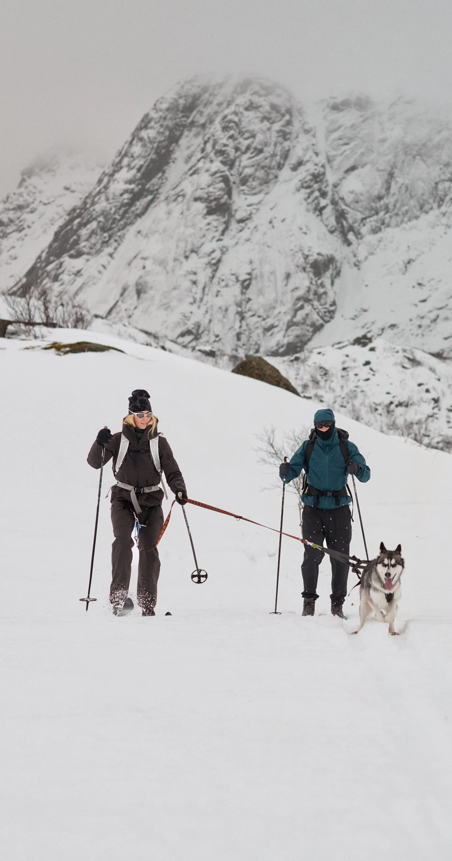 Deux personnes skiant dans un paysage de montagne enneigé, avec un chien husky tirant le skieur de gauche.