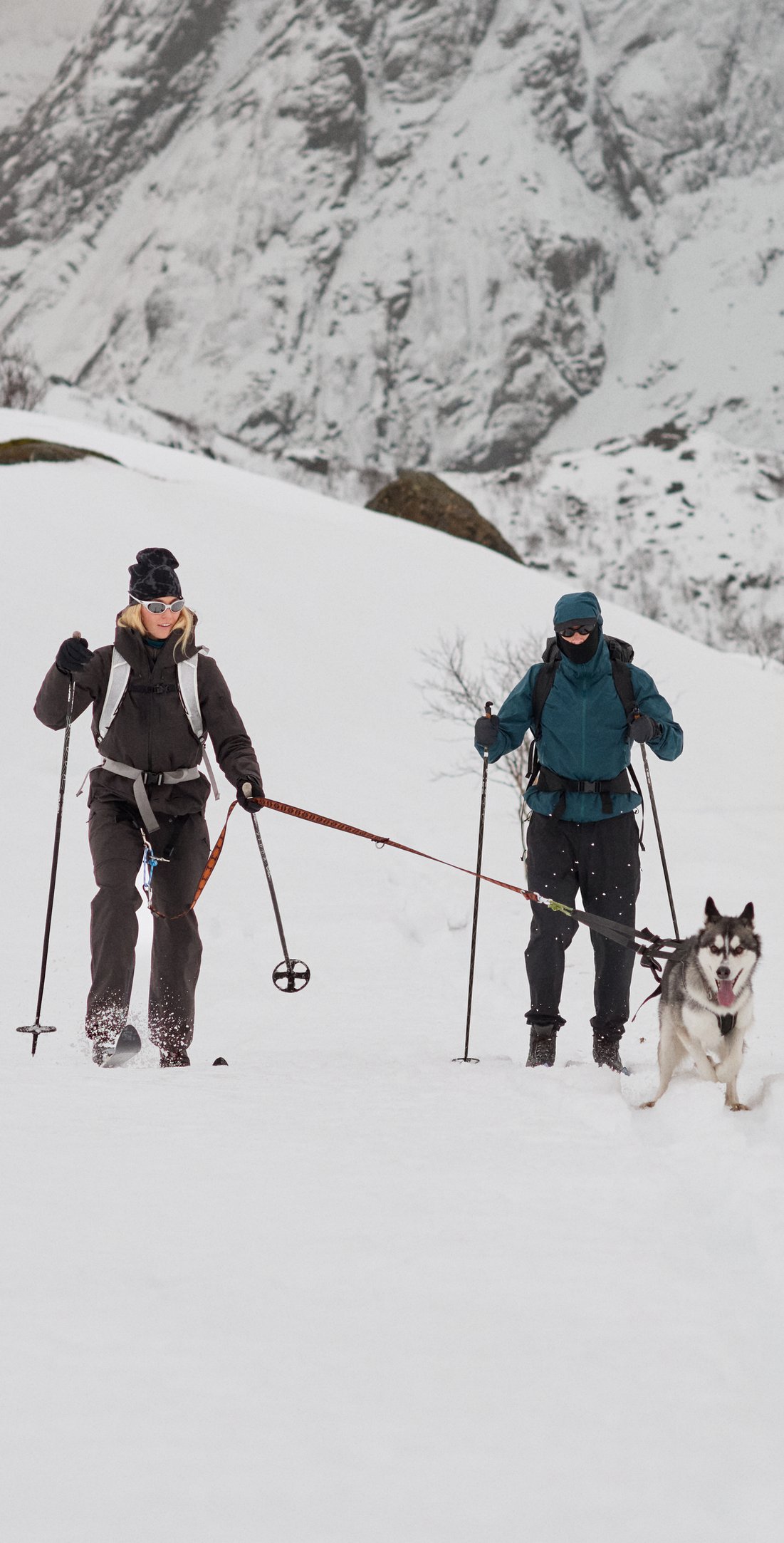 Due persone sciano in un paesaggio montano innevato, con un husky che traina lo sciatore a sinistra.