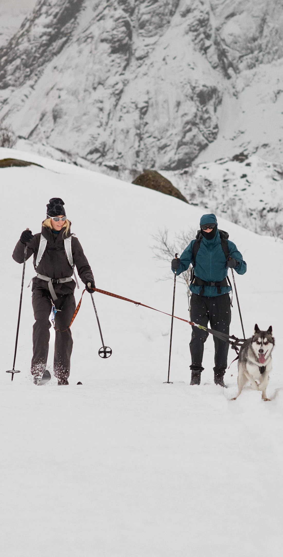 Due persone sciano in un paesaggio montano innevato, con un husky che traina lo sciatore a sinistra.