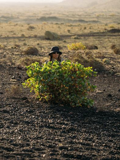 Half witdh tout grid image for our sustainability journey Harmonized on Compliance Topics 