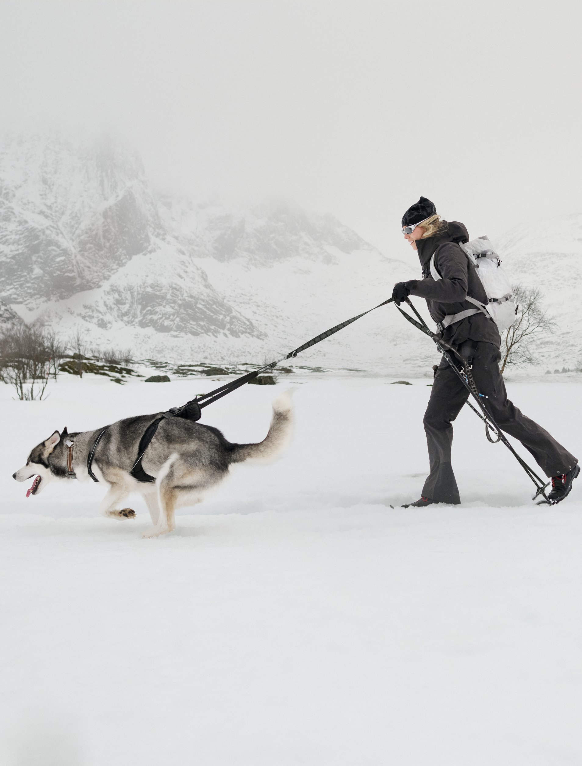 Una donna vestita di scuro scia di fondo attraverso un paesaggio montano innevato, trainata da un husky grigio e bianco.
