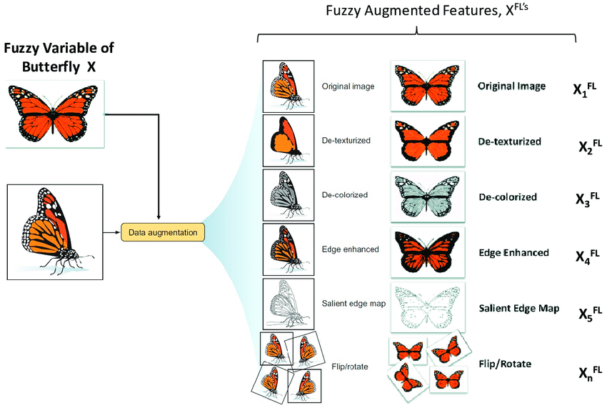 Data augmentation image 2