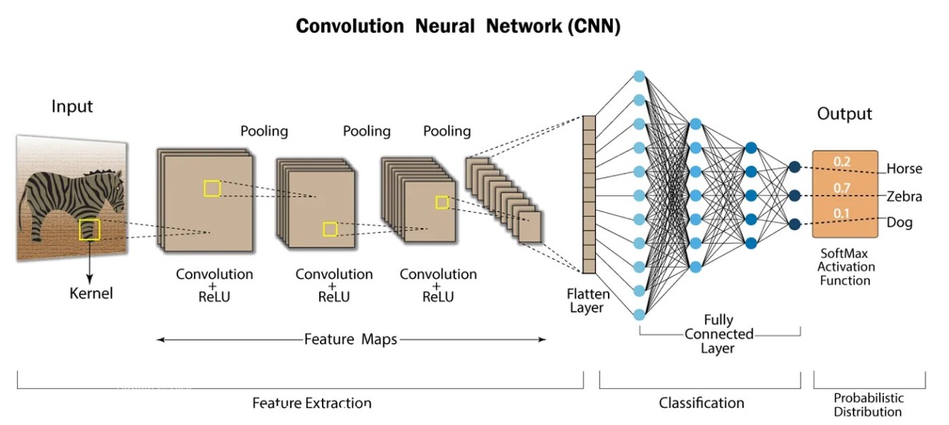 CNN Image 4