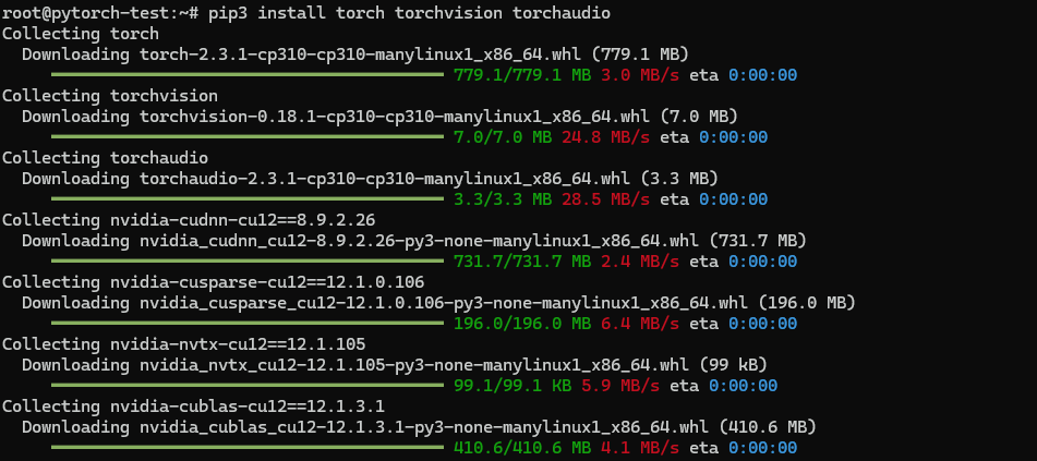 pytorch-guide-run-command-19