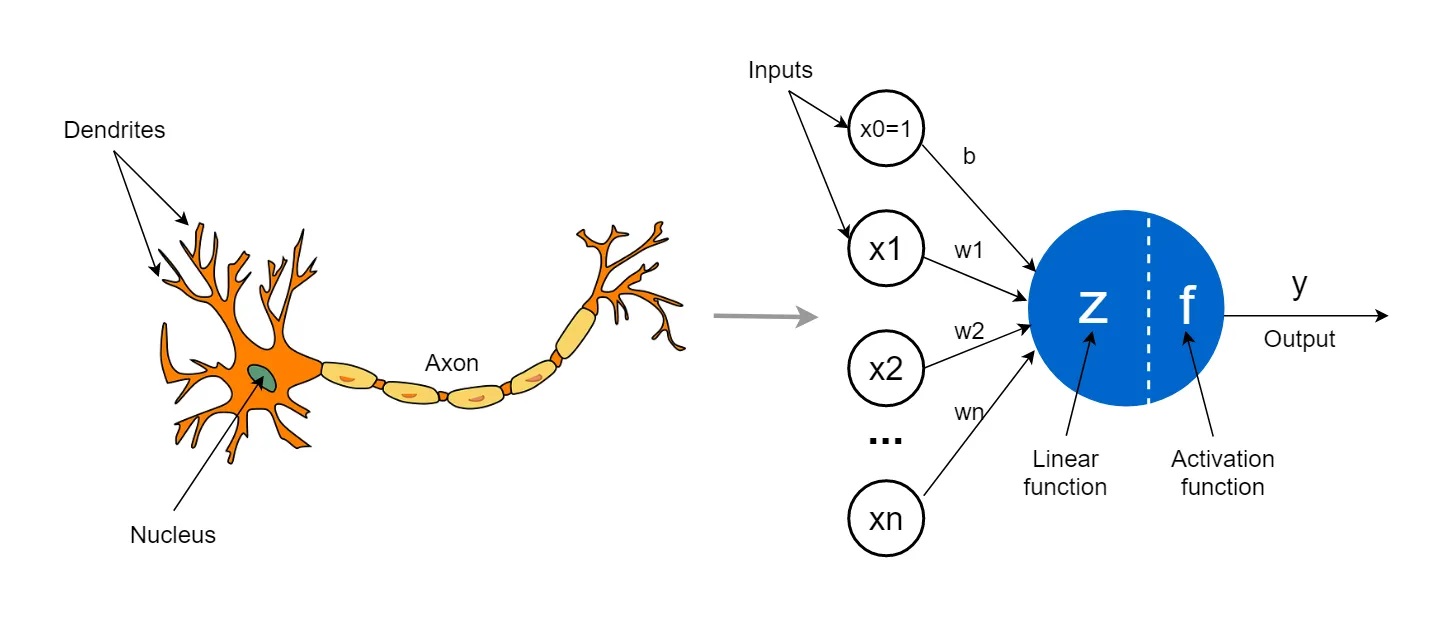 Neural Network Image 3