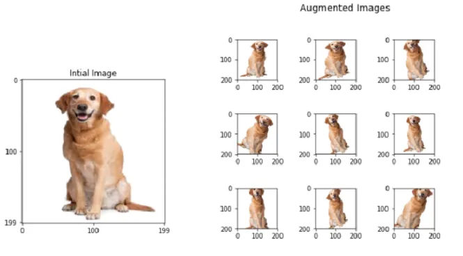 Data augmentation Image 1