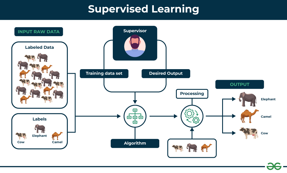 Supervised learning image 1