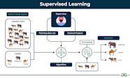 What Is Supervised Learning 