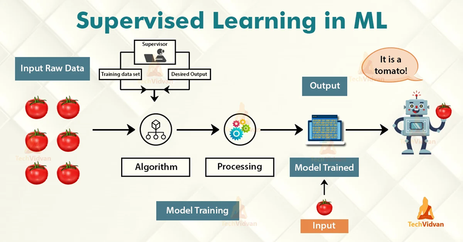 Supervised learning image 3