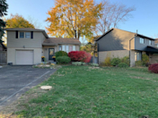 Throw back to a couple months back 3 dead ash tree removals before and after photos.