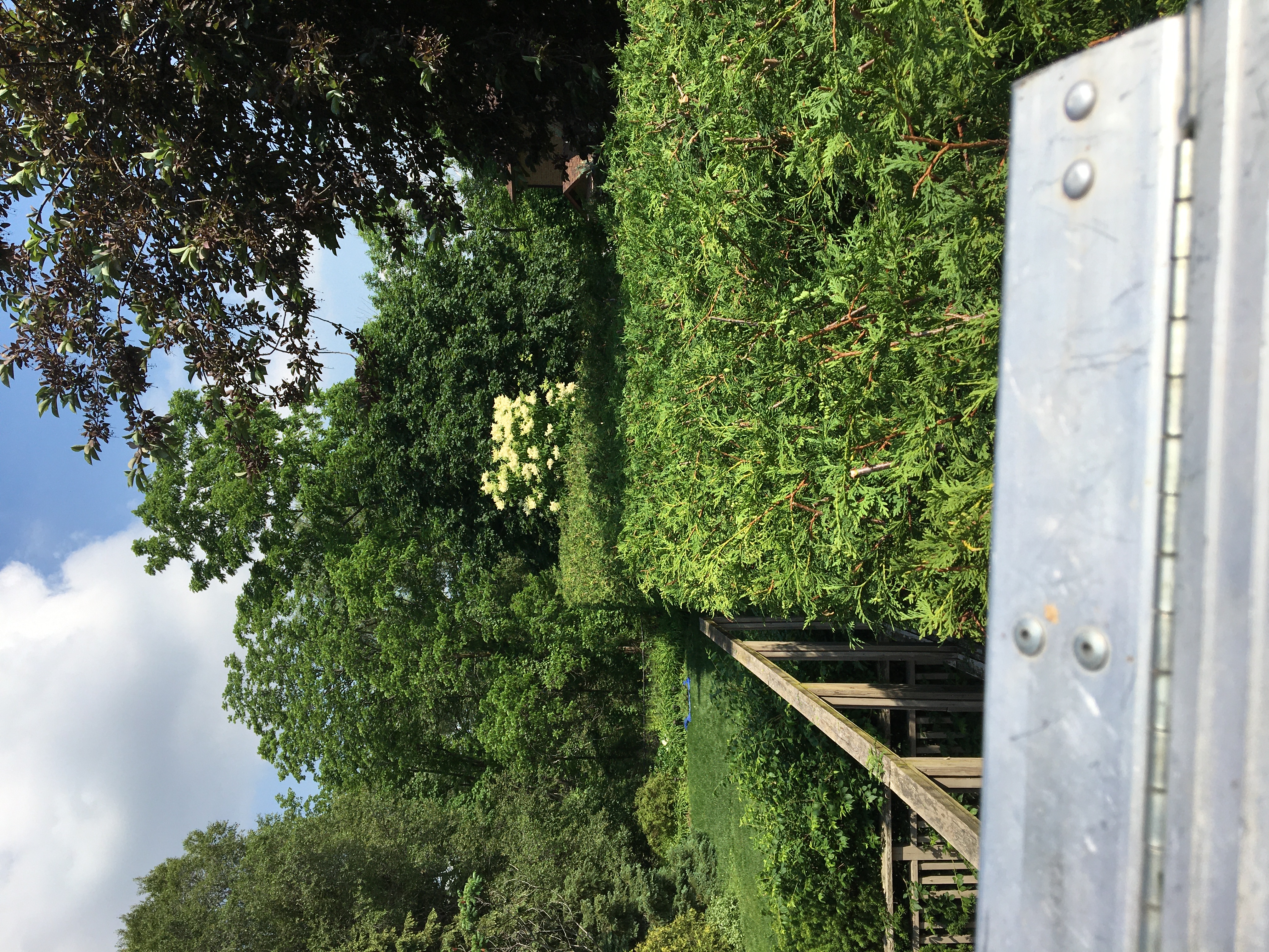 A display of our pruning
