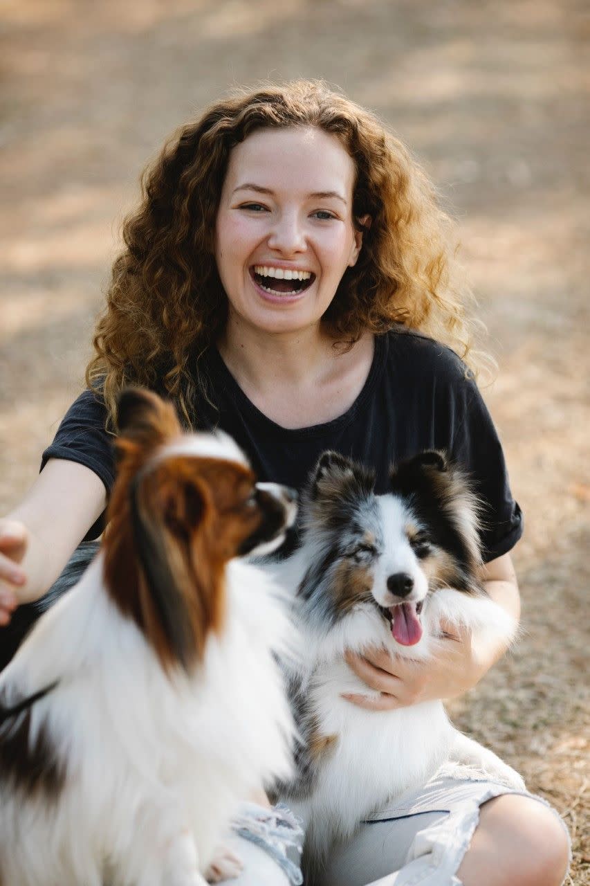 https://www.furnishedfinder.com/images/blog/Top-5-tips-for-traveling-with-your-pet/3.jpeg