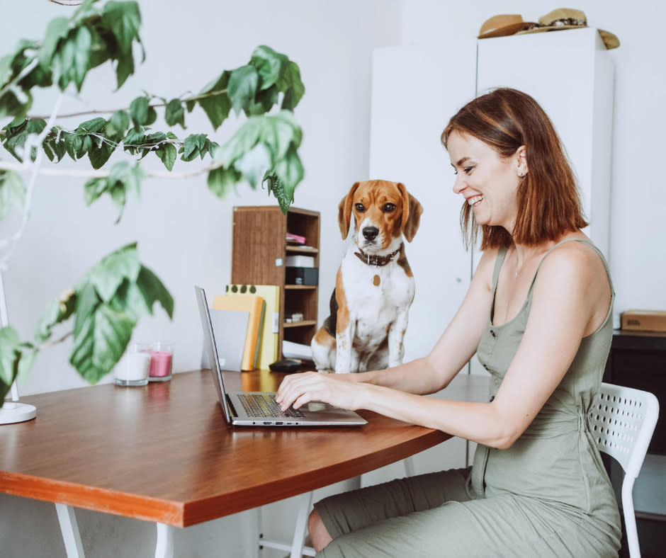 https://www.furnishedfinder.com/images/blog/the-rise-of-adus-a-real-estate-revolution/5.jpg