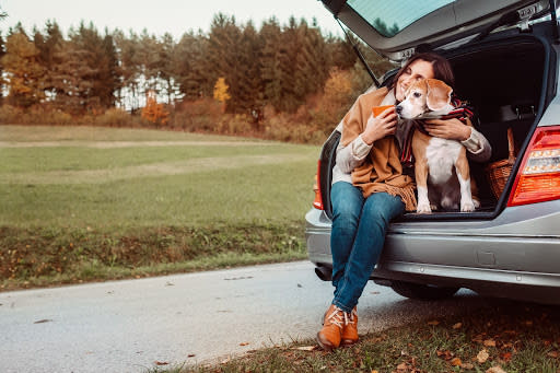woman-and-dog-in-car-trunk.jpeg