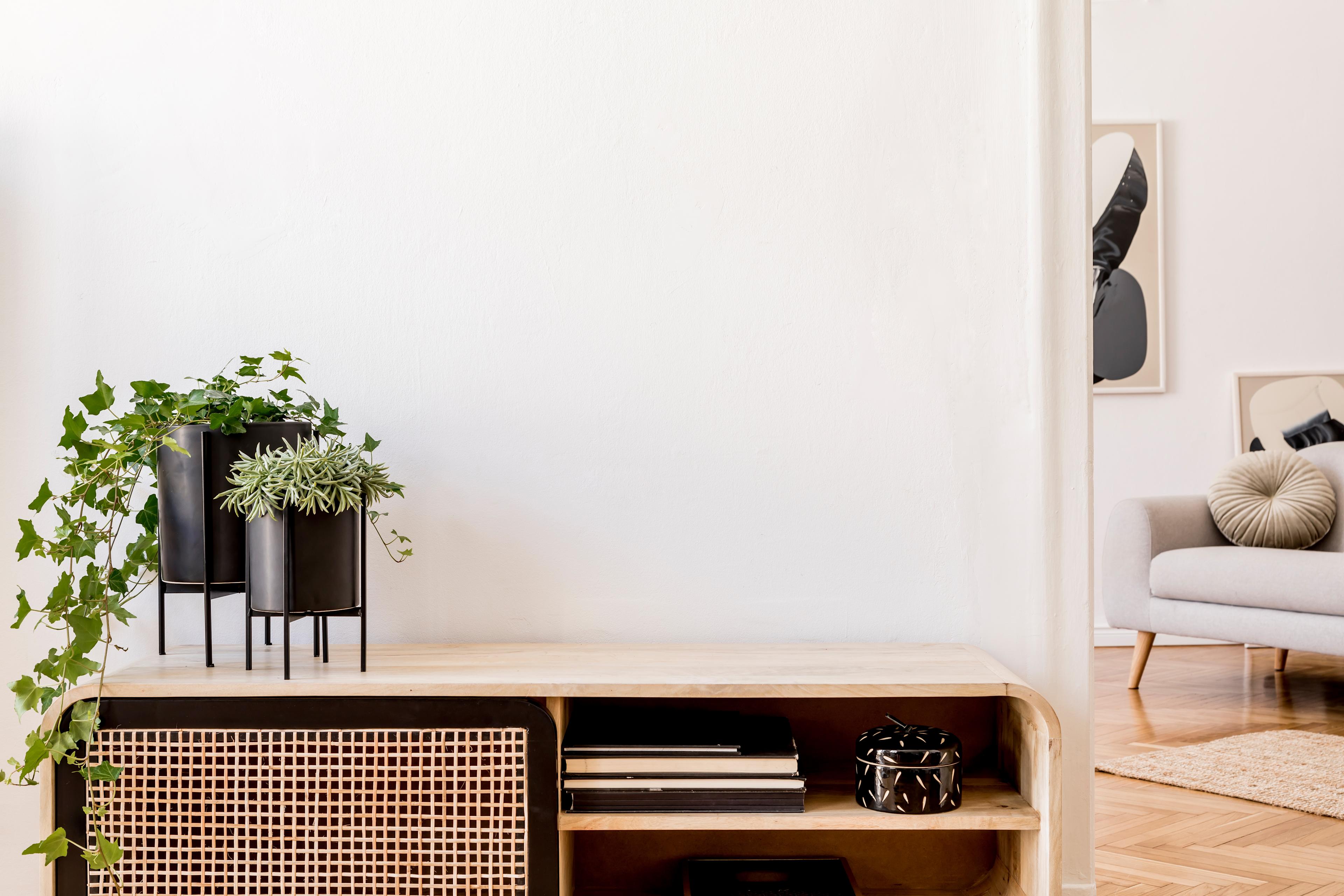AdobeStock_289815320 (1).jpeg
