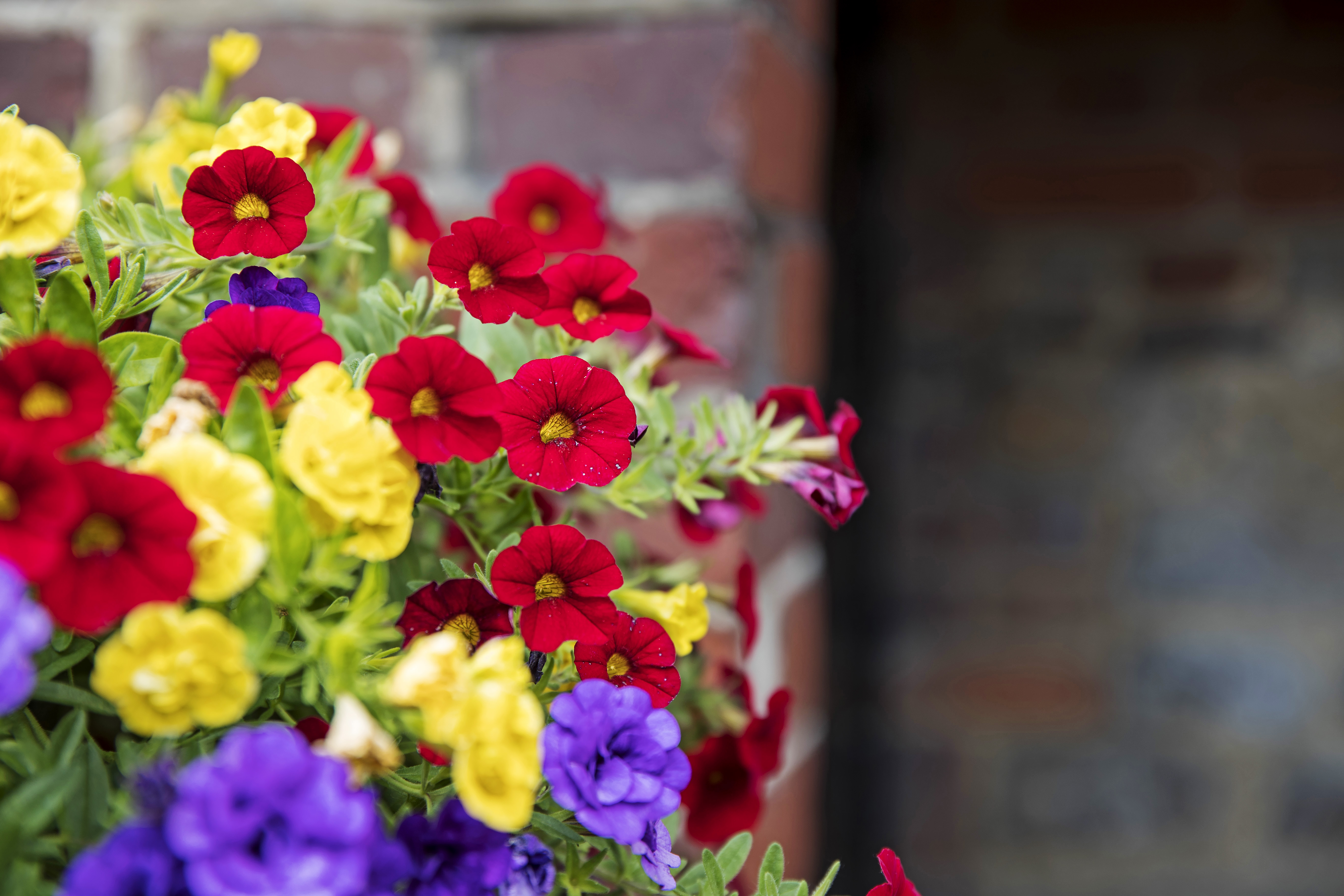 sevenoaks-school (2)