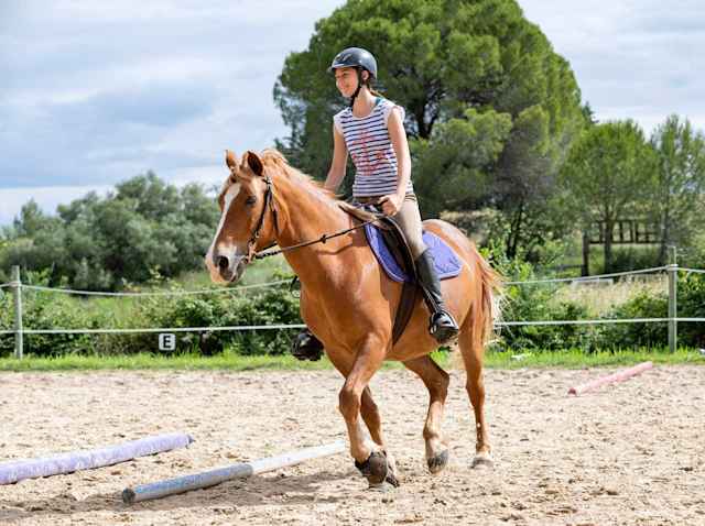 Heathfield Summer School - Glückliche Schülerin reitet auf dem Reitplatz Heathfield Summer School - Glückliche Schülerin reitet auf dem Reitplatz