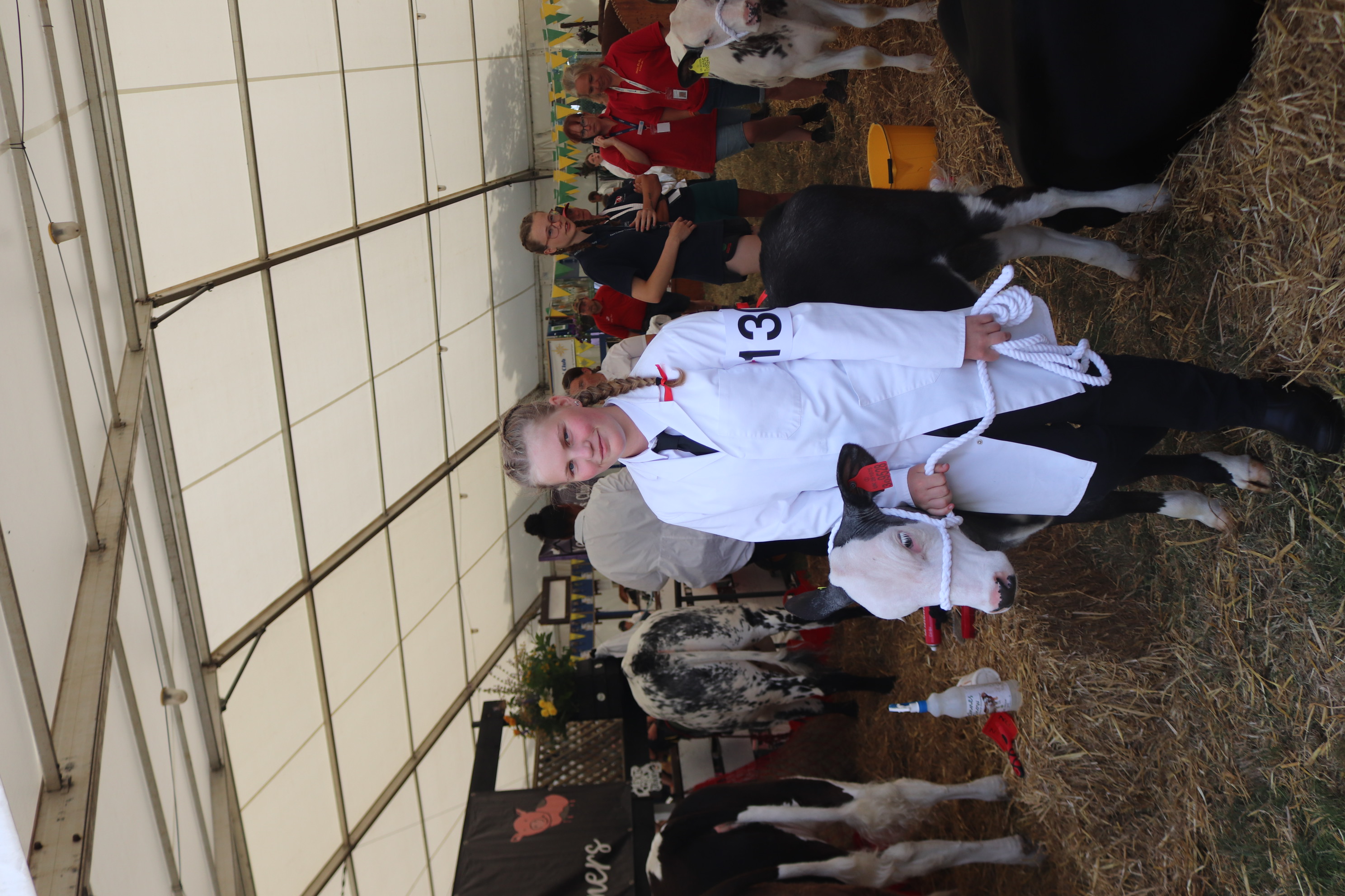 Kent College Canterbury - Schülerin mit Kalb auf einem Schulfarmevent