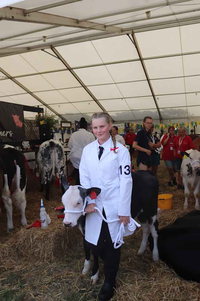 Kent College Canterbury - Student with calf at a school farm event Kent College Canterbury - Student with calf at a school farm event