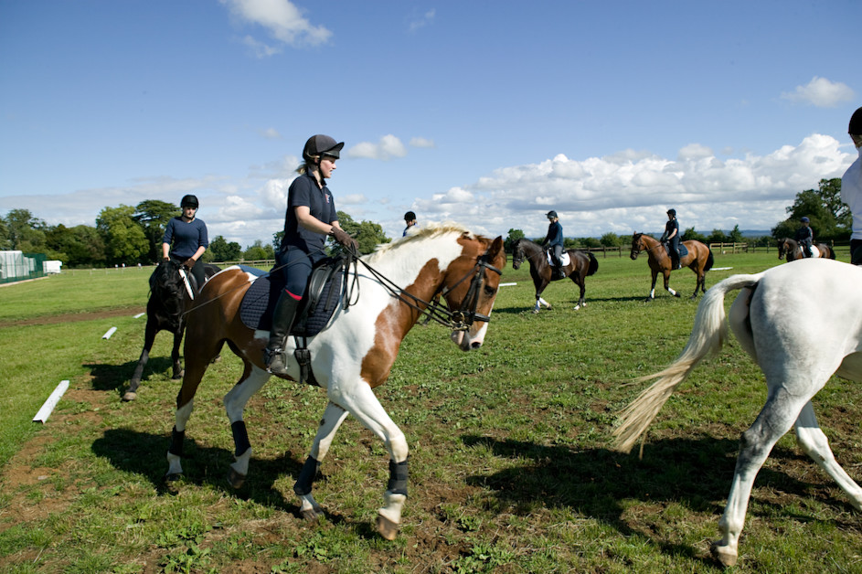 Englisch und Reiten in den Herbstferien