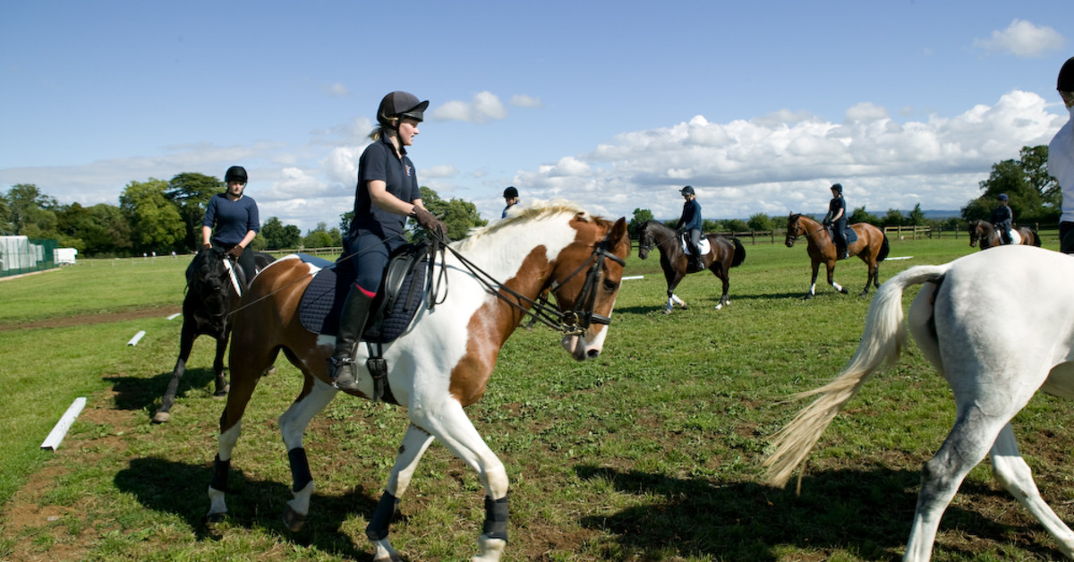 Englisch und Reiten in den Herbstferien