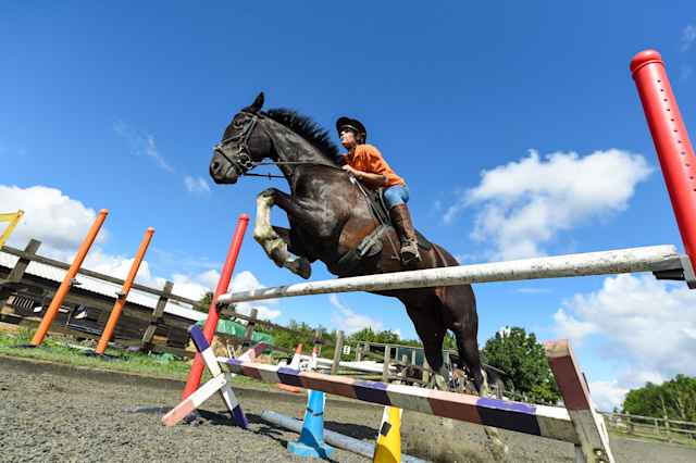Exsportise Summer School - Reiten Exsportise Summer School - Reiten