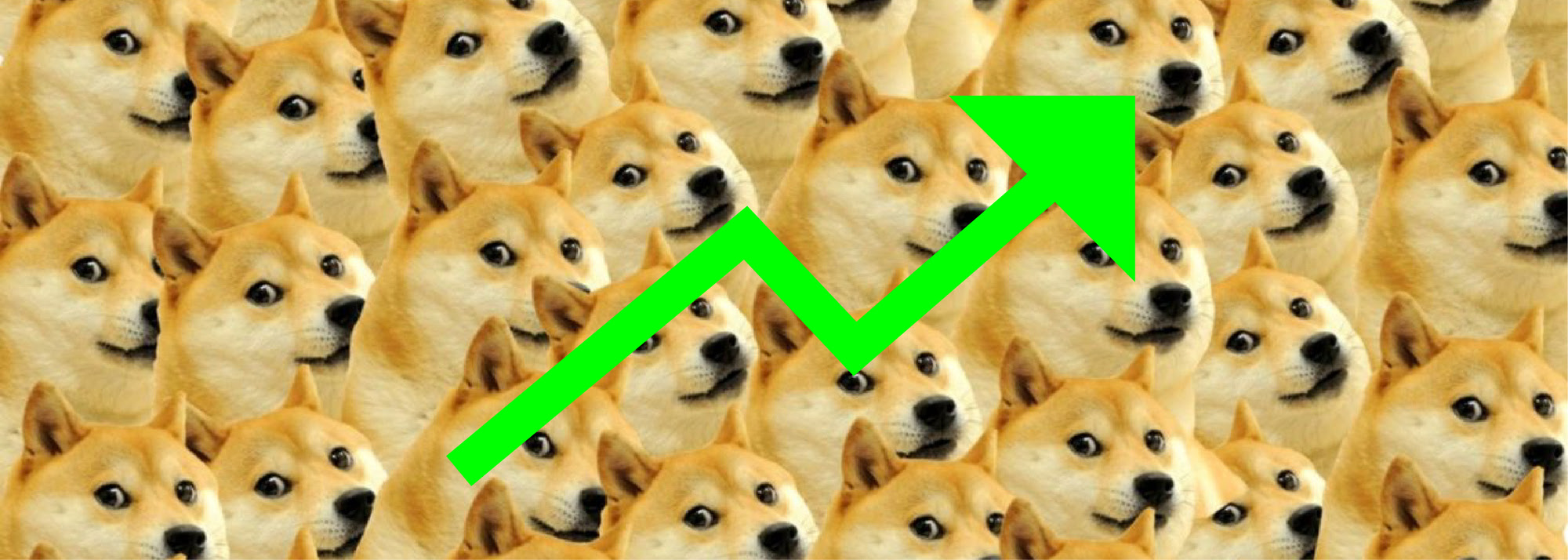 Doge Going UP