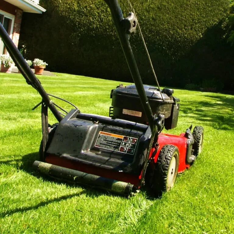 Mowing lawn